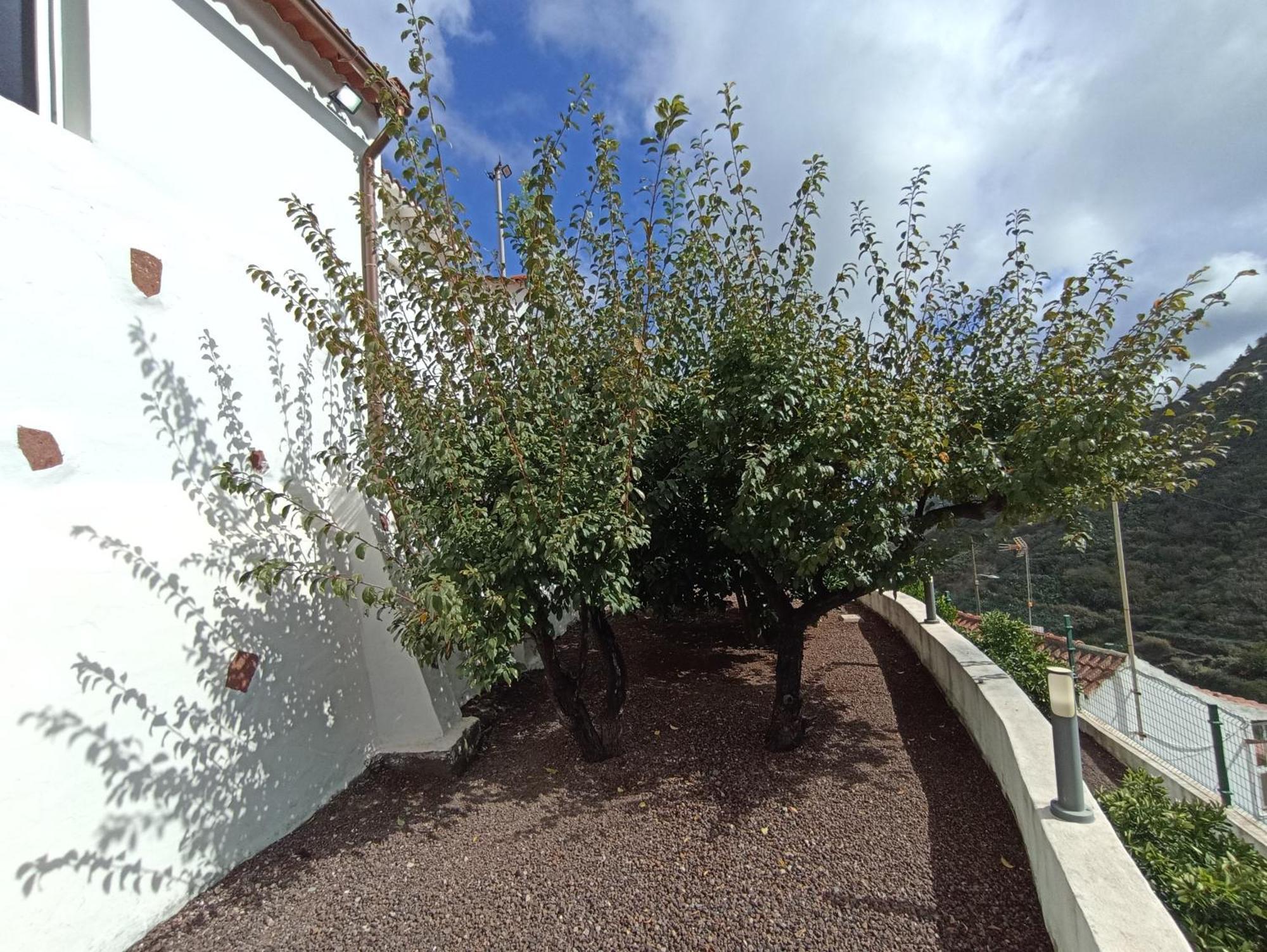 Casa Rural La Yedra San Mateo Arbejales 외부 사진