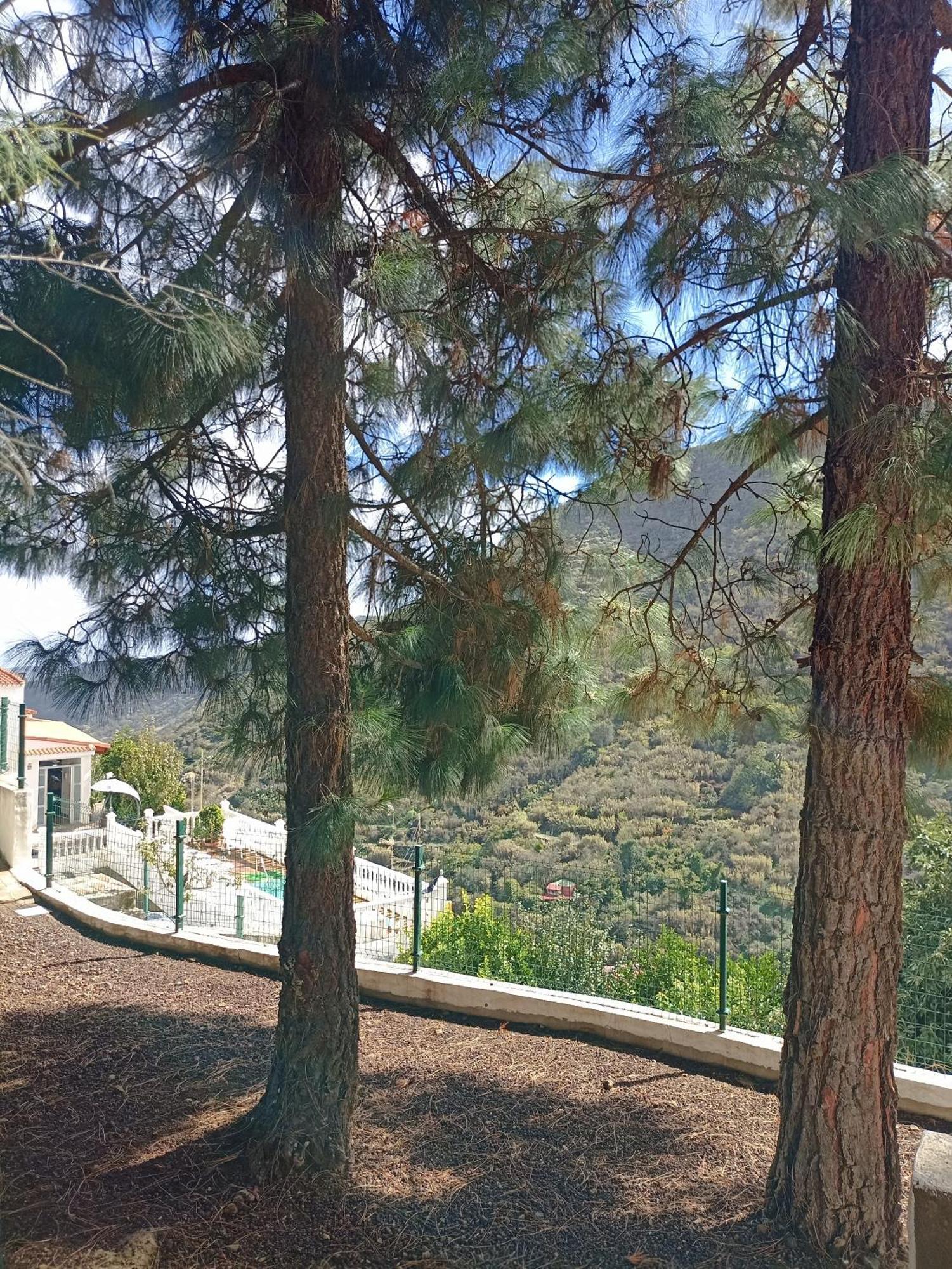 Casa Rural La Yedra San Mateo Arbejales 외부 사진
