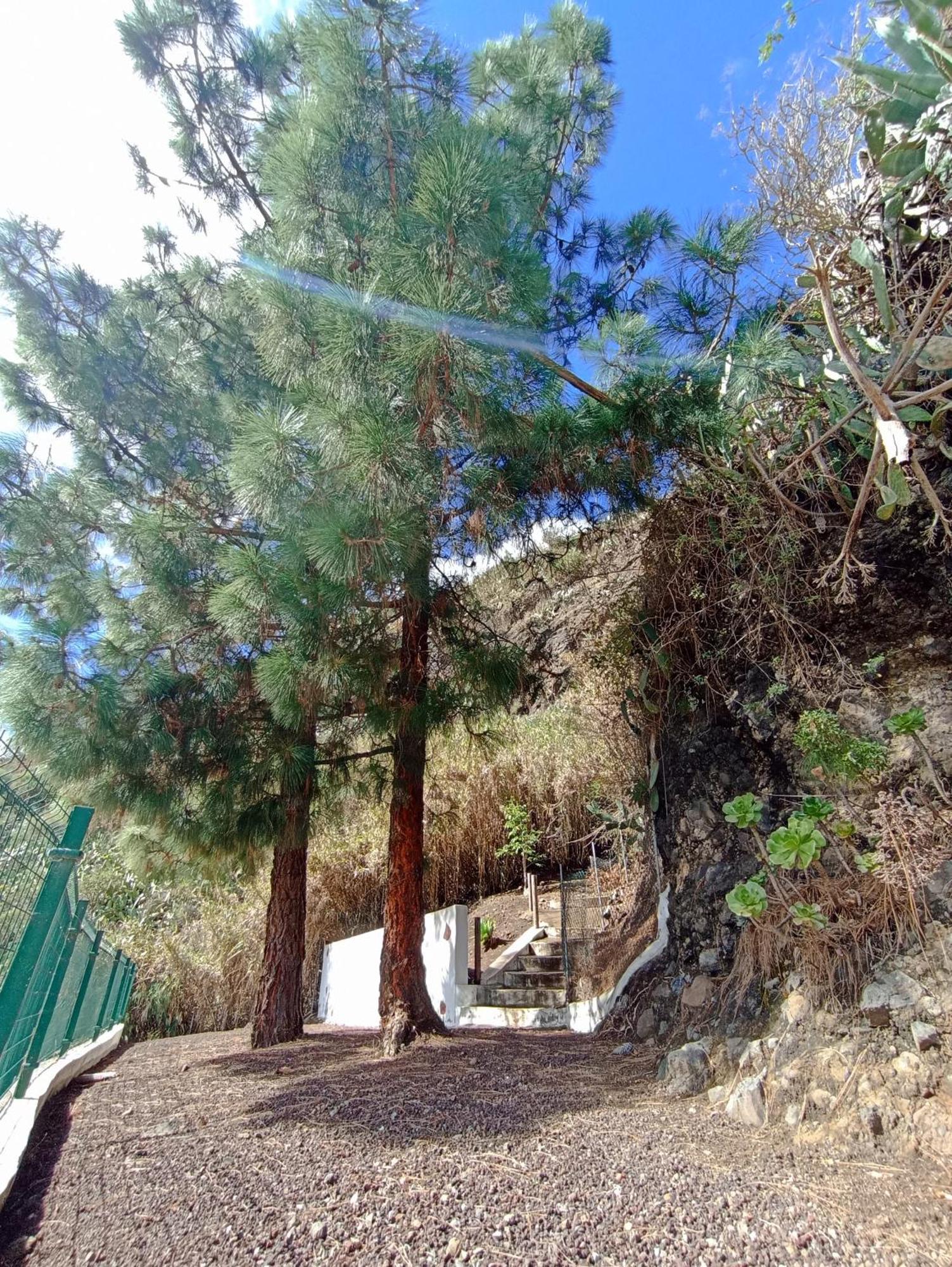 Casa Rural La Yedra San Mateo Arbejales 외부 사진