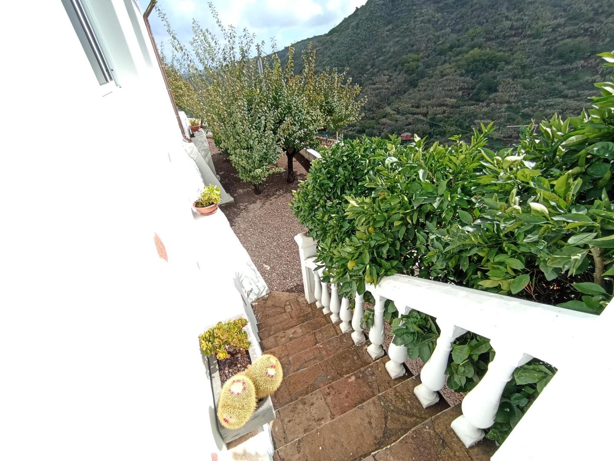 Casa Rural La Yedra San Mateo Arbejales 외부 사진